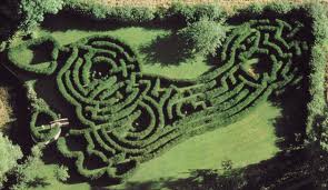 Карта Hedge Maze для Minecraft